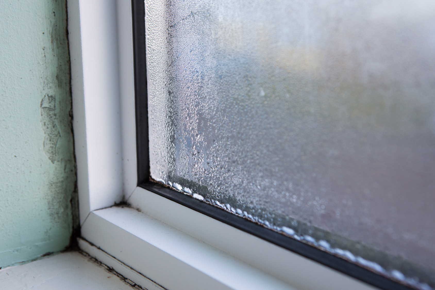 House Window With Damp And Condensation