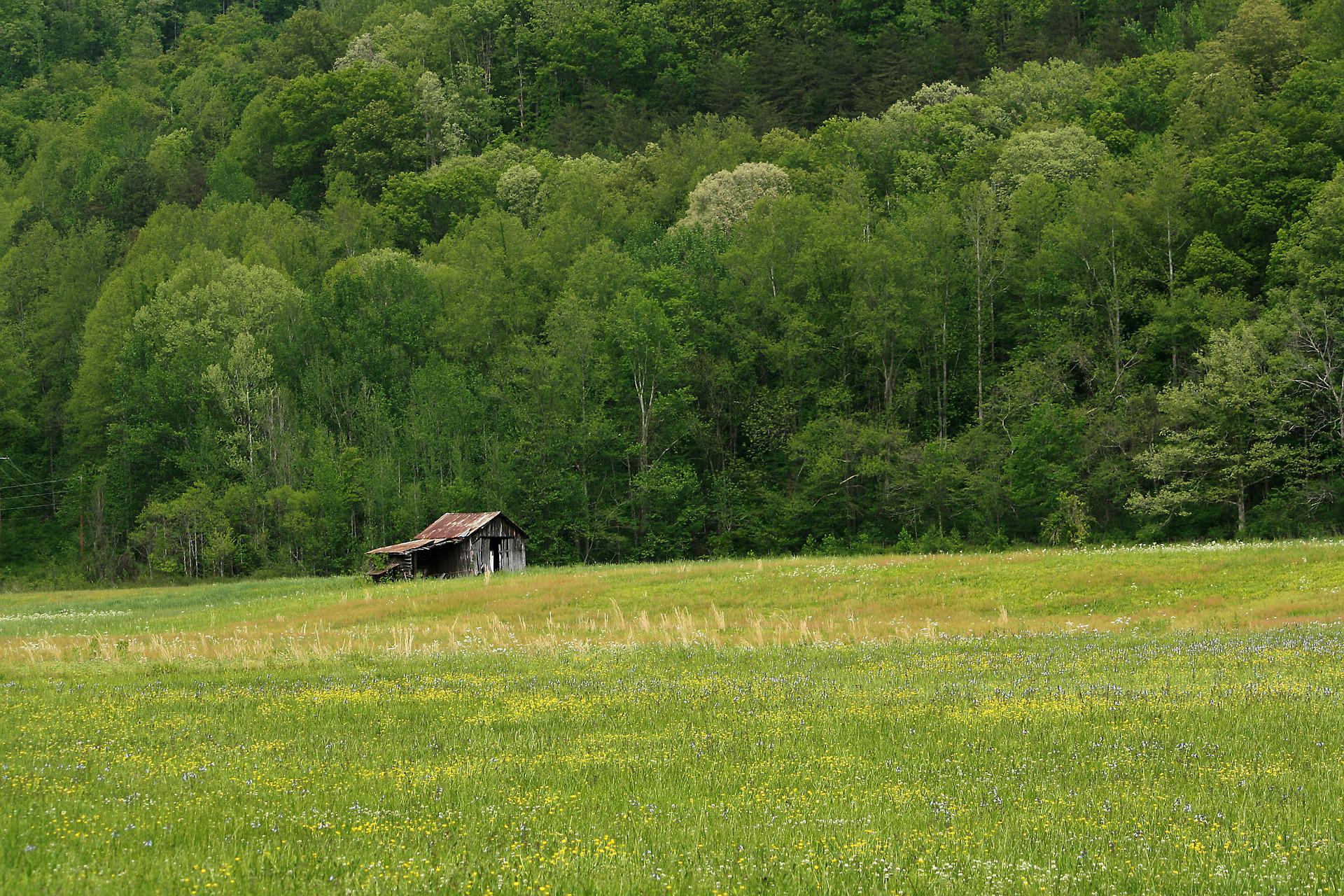 Construction Et Renovation Habitat Barn Gc2d5831da 1920